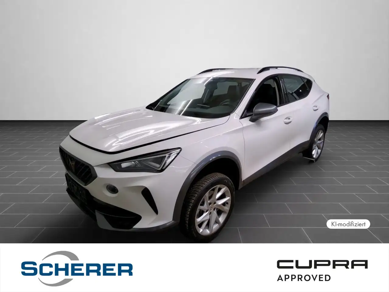CUPRA Formentor 1,5 TSI LED/PDC/Sitzheizung vo./u.v.m. — Heidelberg