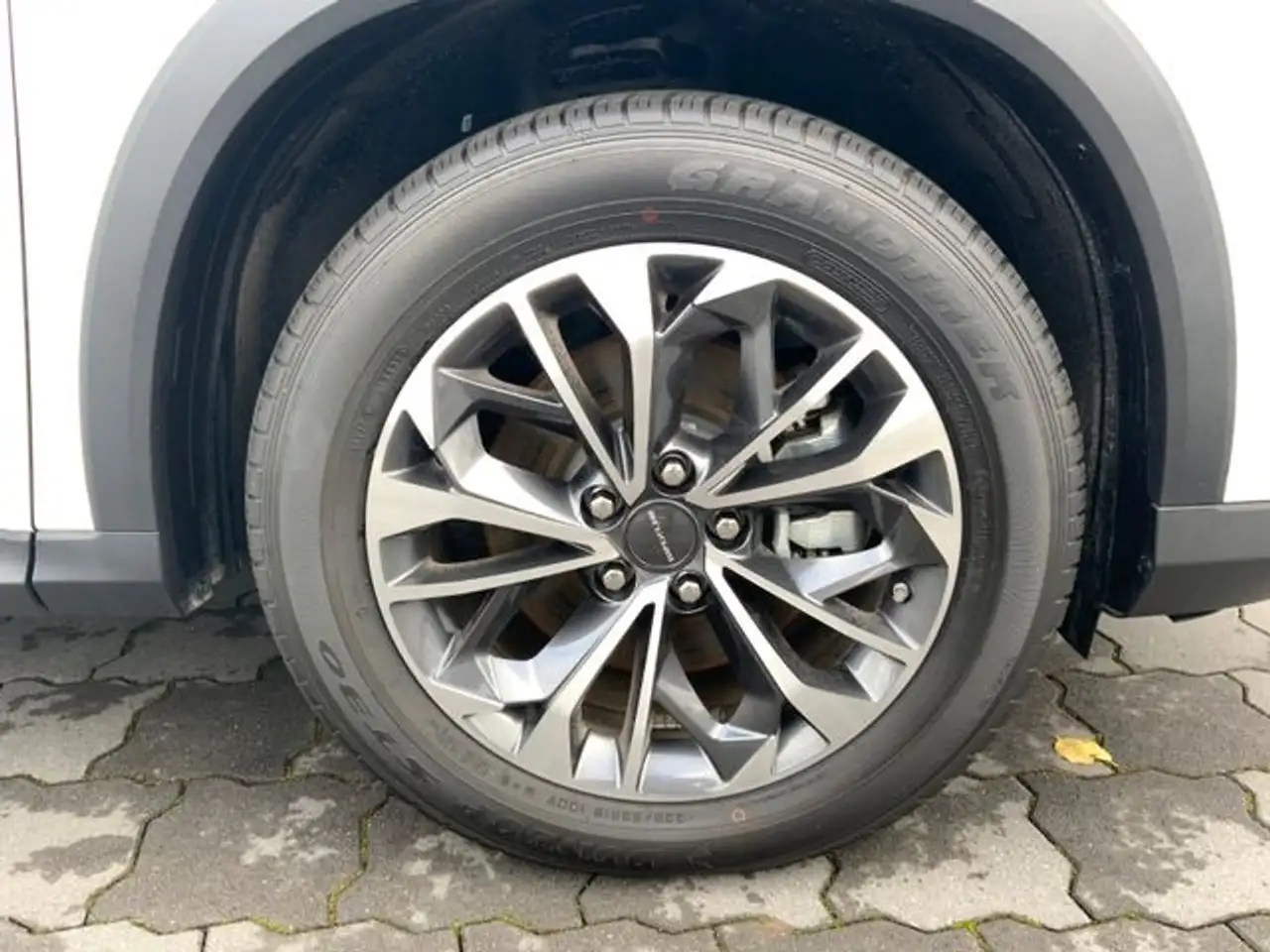 Maxus Sonstige Grand SUV 70kWh +Tempomat+PanoDach+ — Vehicle gallery 9