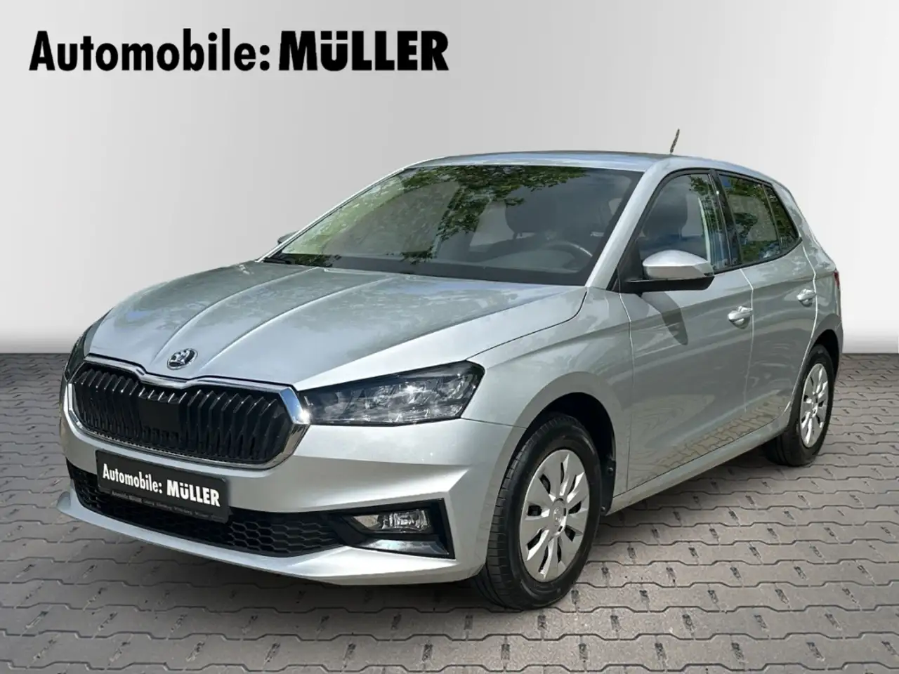 Skoda Fabia Selection 1.0 TSI 70 KW*PDC hinten*beheizbares Len — Leipzig