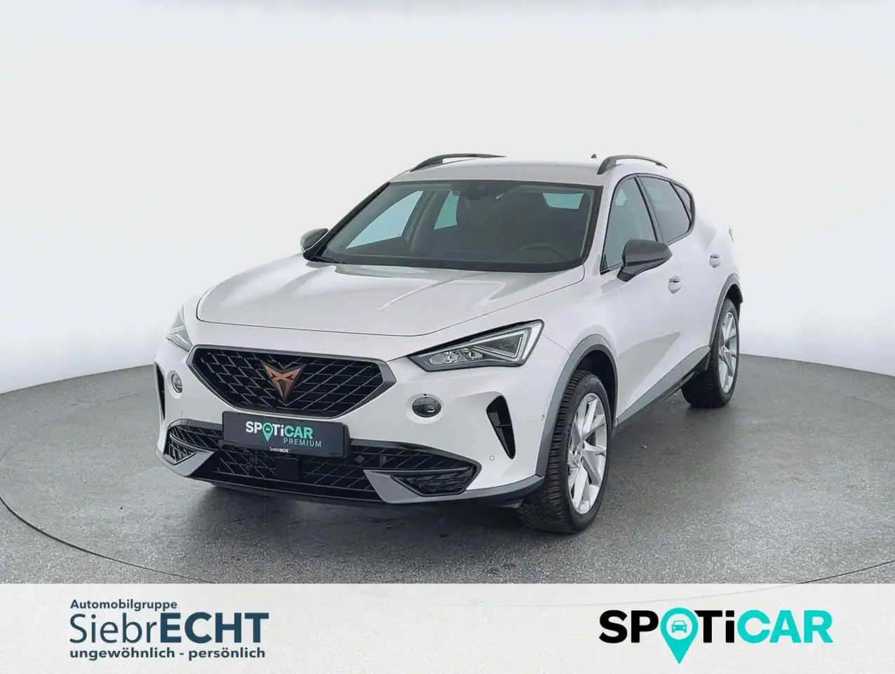 CUPRA Formentor Basis 1.5 TSI*NAVI*RFK*LHZ*uvm — Uslar