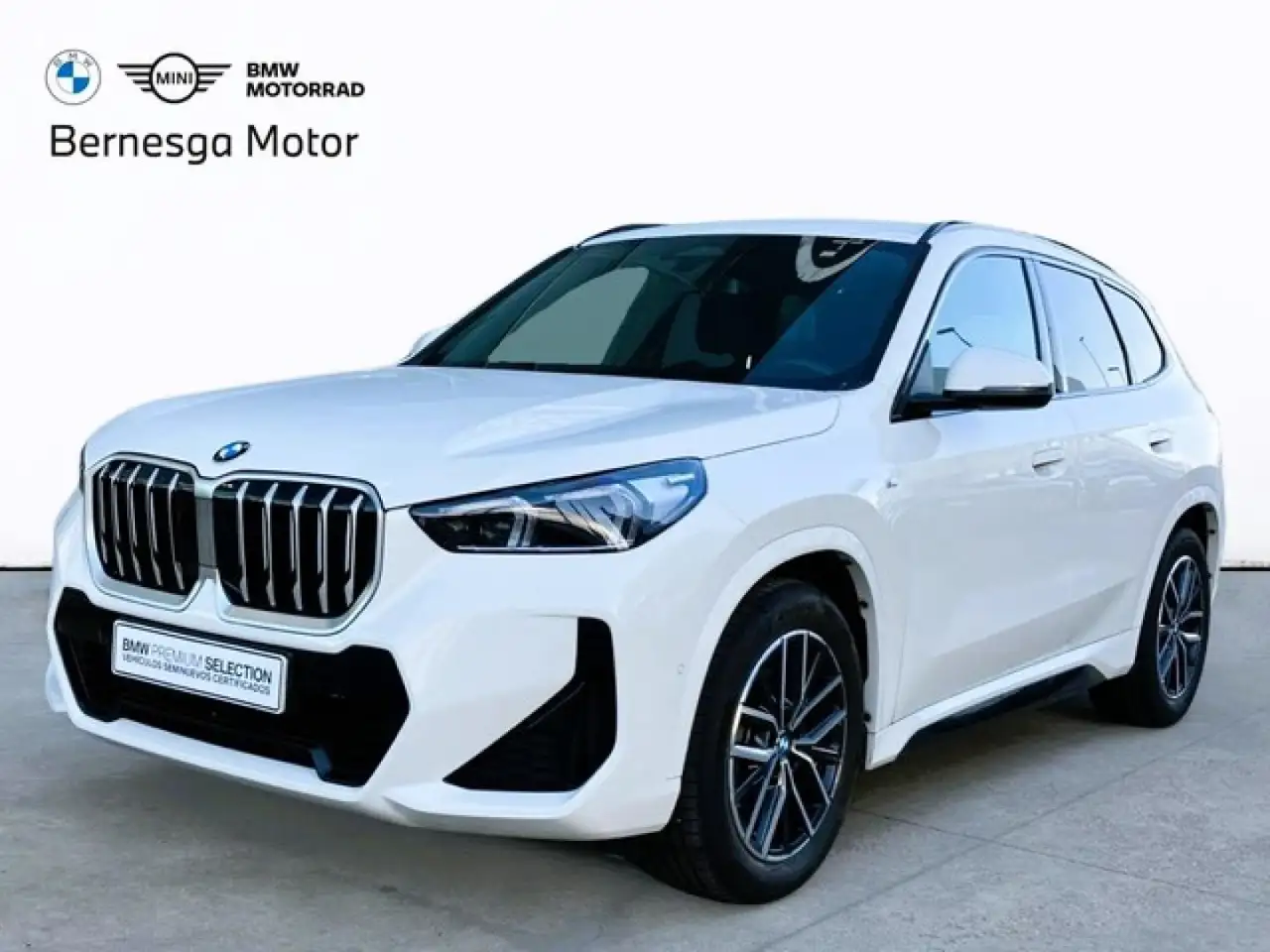 BMW X1 sDrive 20dA — San Andrés del Rabanedo, León