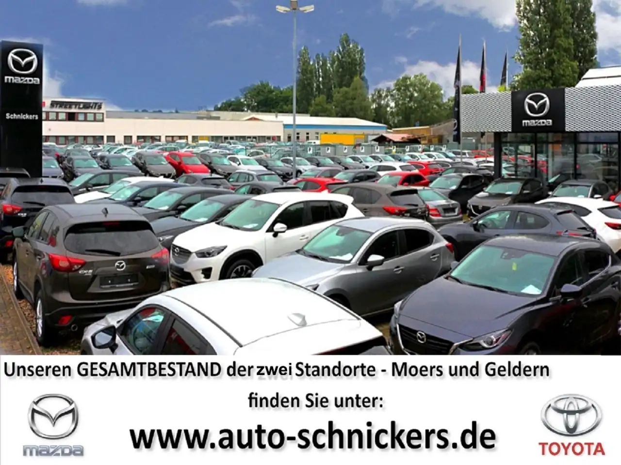 Mazda CX-5 SKY-G SOMO ADVANTAGE+GJ-RÄDER !! — Galerie du véhicule 17