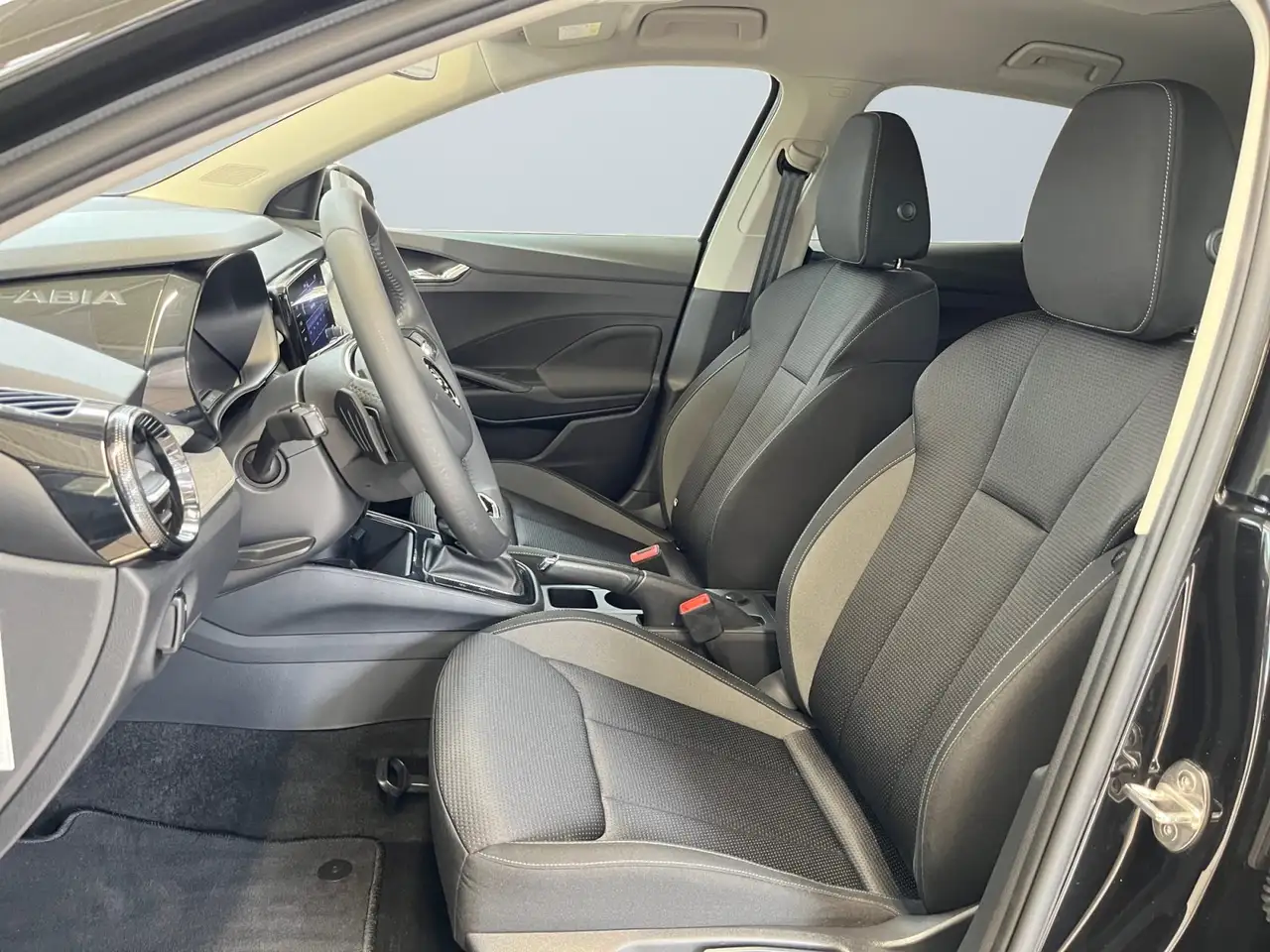 Skoda Fabia Tour 1.0TSI DSG PDC LED Berganfahrassistent — معرض صور السيارة 9