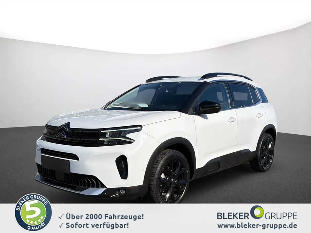 Citroen C5 Aircross Hybrid KAMERA+KLIMA+NAVI — Galerie du véhicule 2
