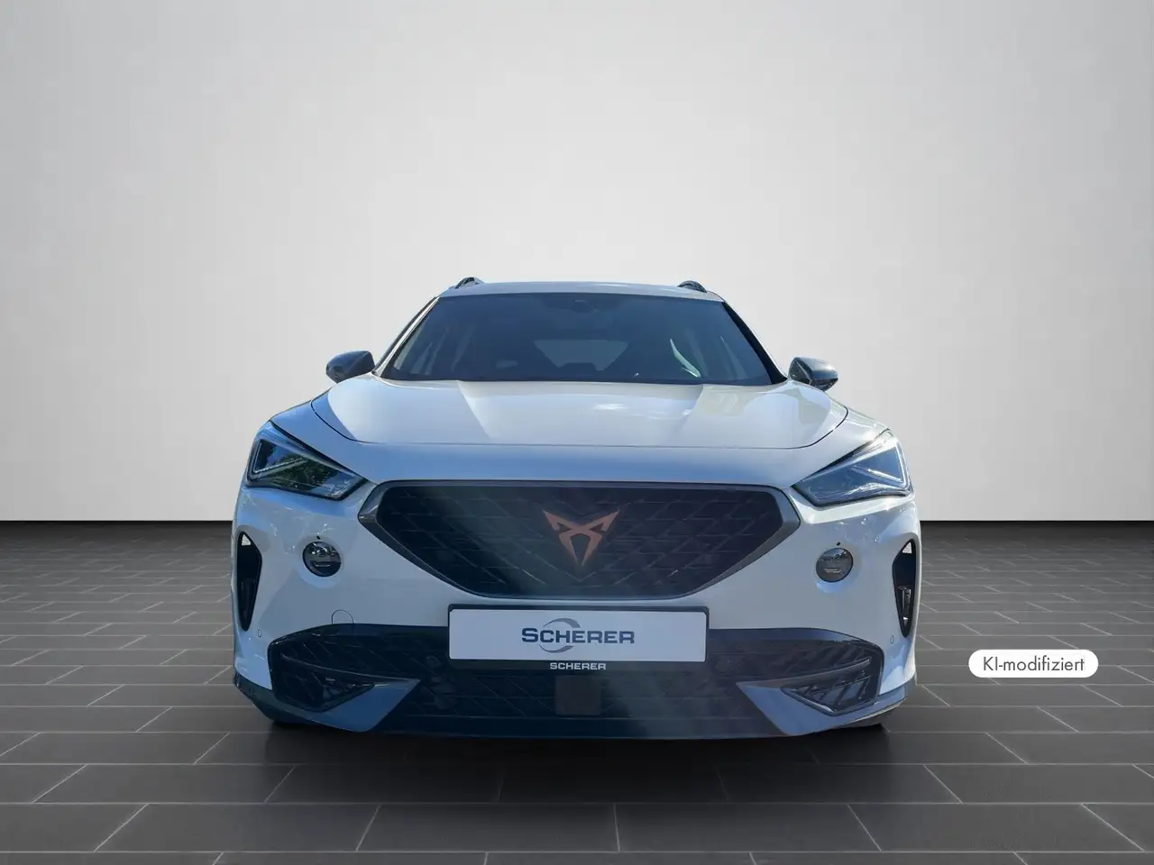 CUPRA Formentor VZ 2.0 TSI 4Drive Navi, Matrix-LED, Be — Galerie du véhicule 5