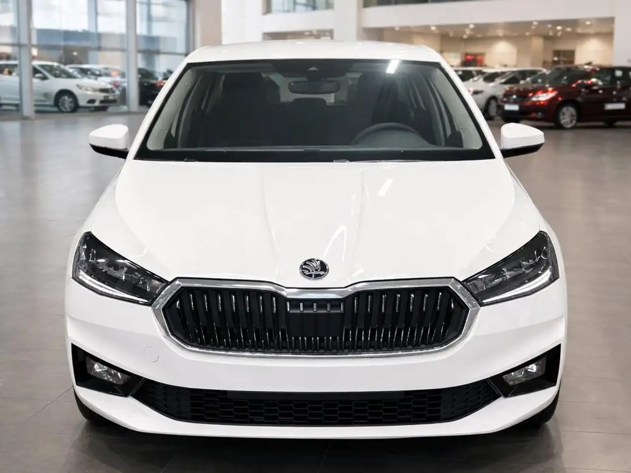 Skoda Fabia Selection — Düsseldorf