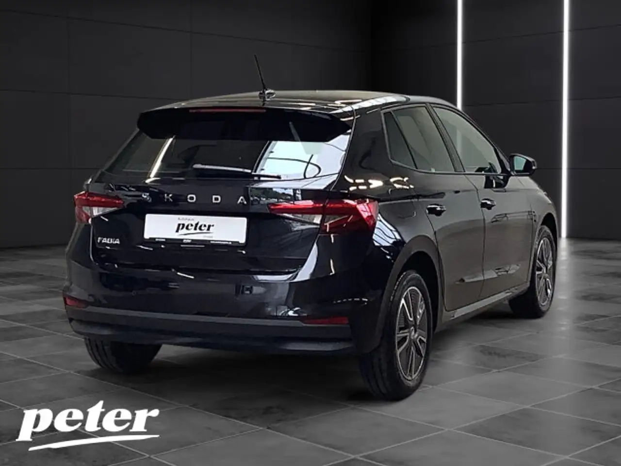 Skoda Fabia FABIA SELECTION 1.0 TSI *DYNAMIC-PAKET*; LED, KLIMA — Galería del vehículo 8