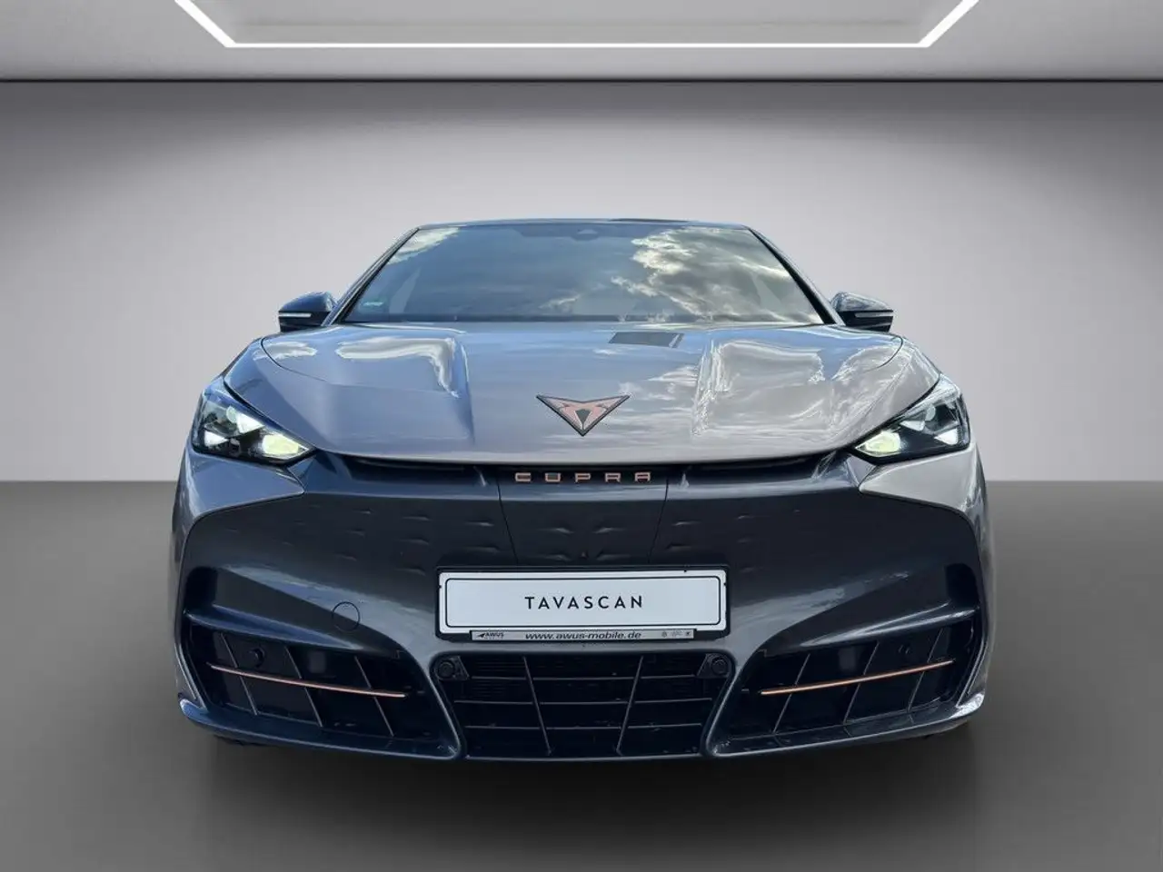 CUPRA Tavascan Endurance ACC HUD PANO MATRIX-LED 360° — Vehicle gallery 9