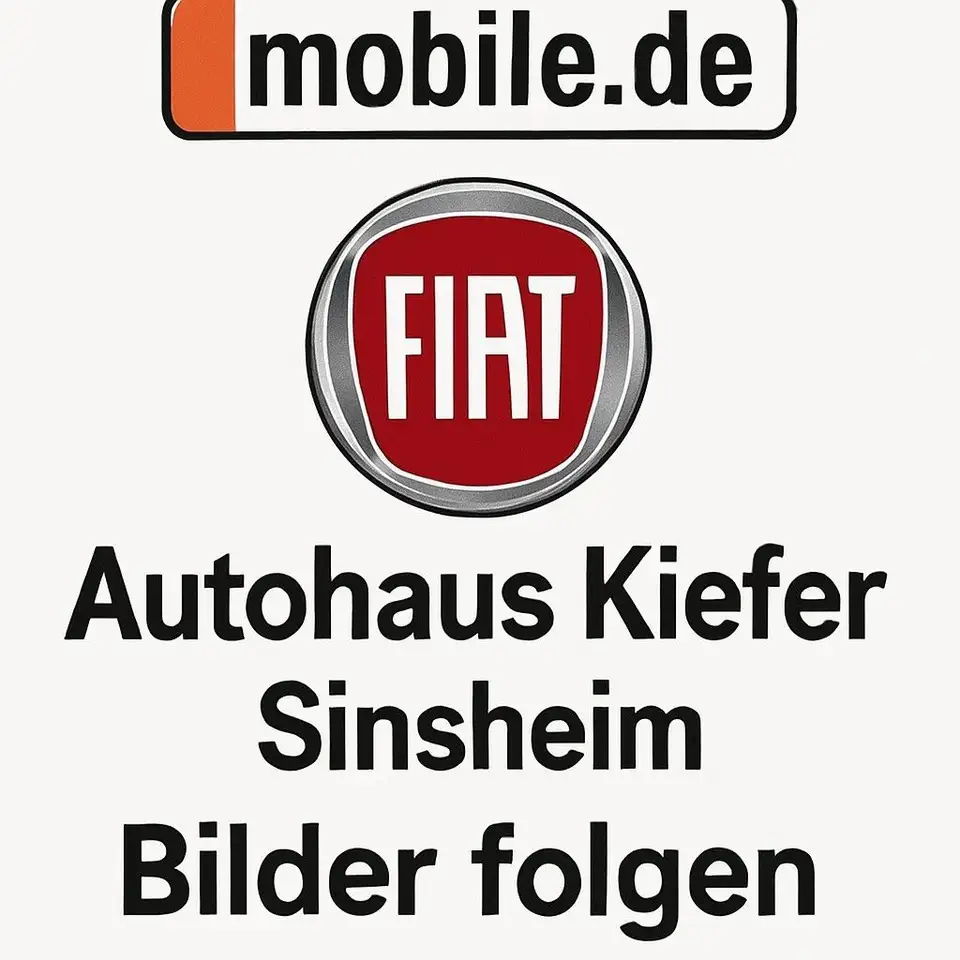 Fiat 500X Basis — Sinsheim