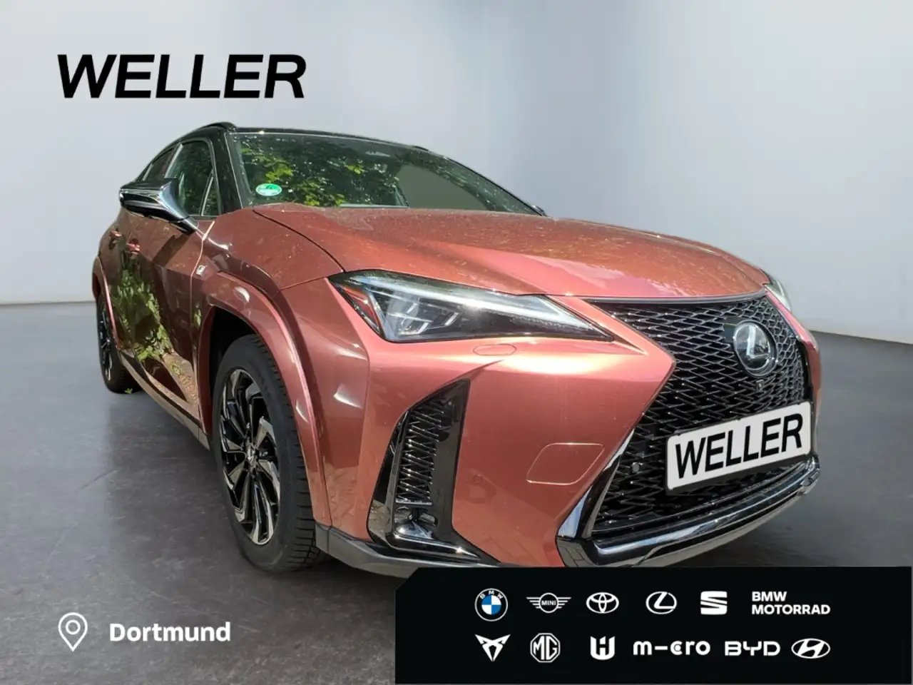 Lexus UX 300h E-FOUR F SPORT *LED*360°*GSD*Levinson*SHZ* — Galerie du véhicule 3