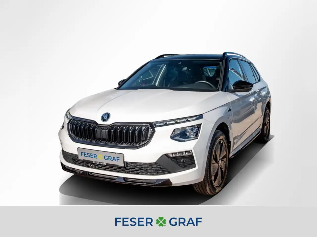 Skoda Kamiq Monte Carlo 1.5 TSI DSG 2xPDC/SHZ/RFK/LED — Magdeburg