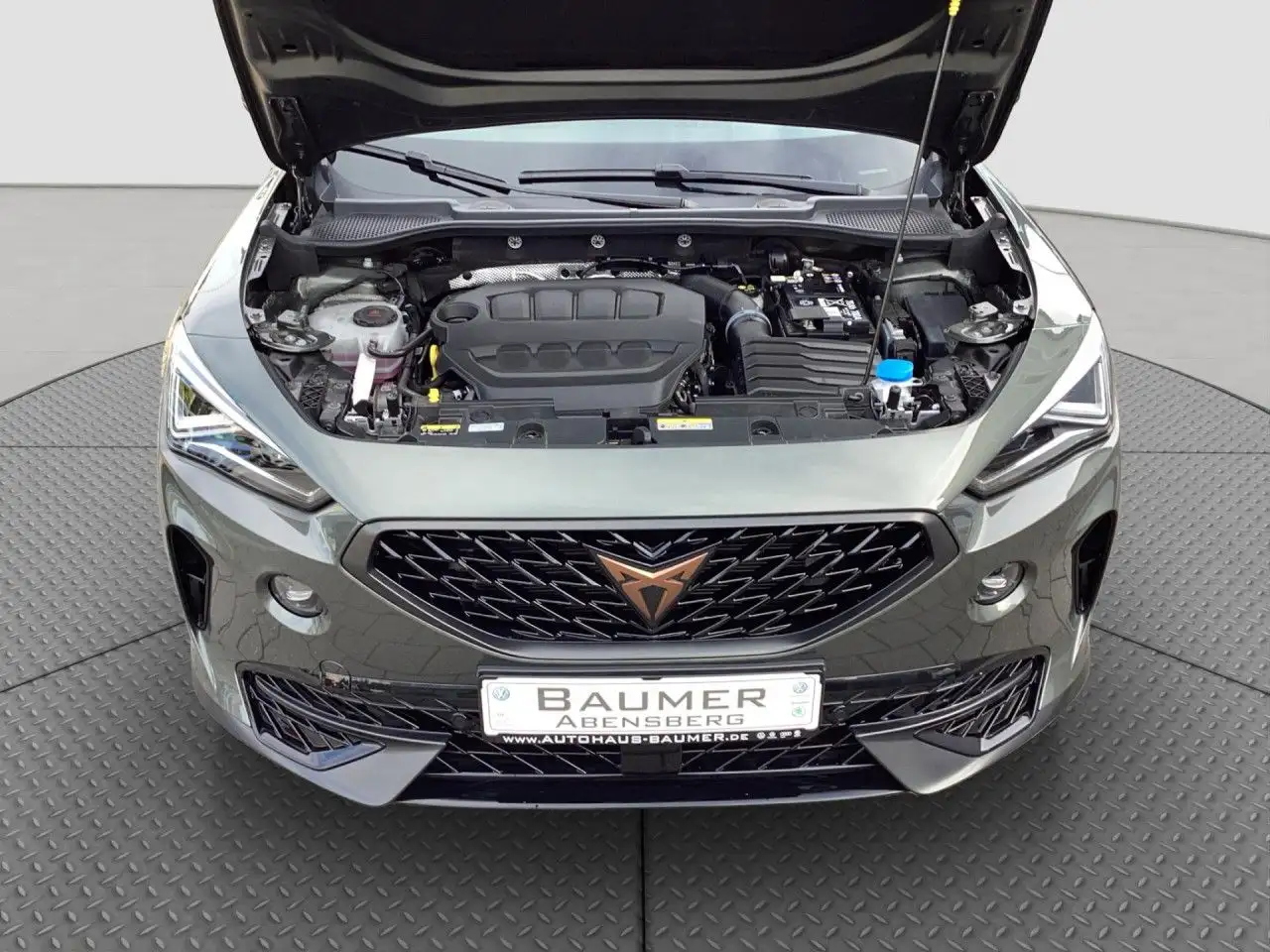 CUPRA Formentor VZ 2.0 TSI DSG Tribe Edition Matrix-Beam — معرض صور السيارة 12