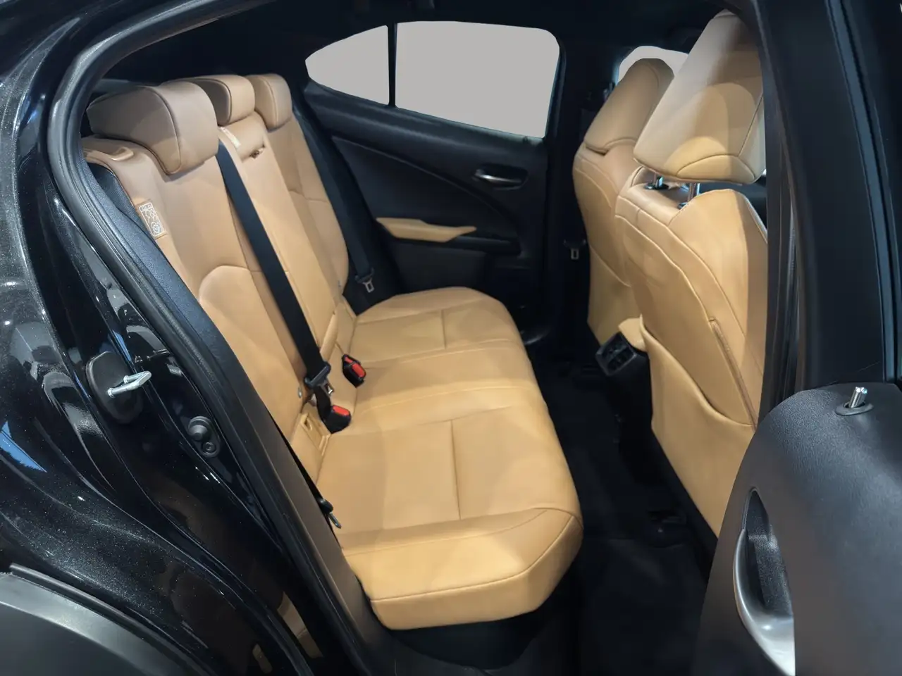 Lexus UX 250h 250 h F-Sport Design Allwetter — Vehicle gallery 17
