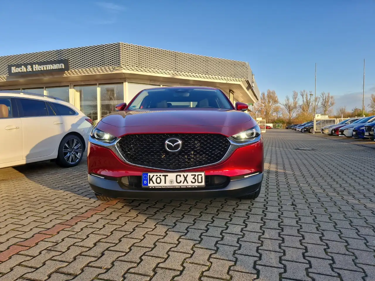 Mazda CX-30 2.5L e-SKYACTIV G 140ps MATRIX LED LENKRADHEIZUNG — معرض صور السيارة 3