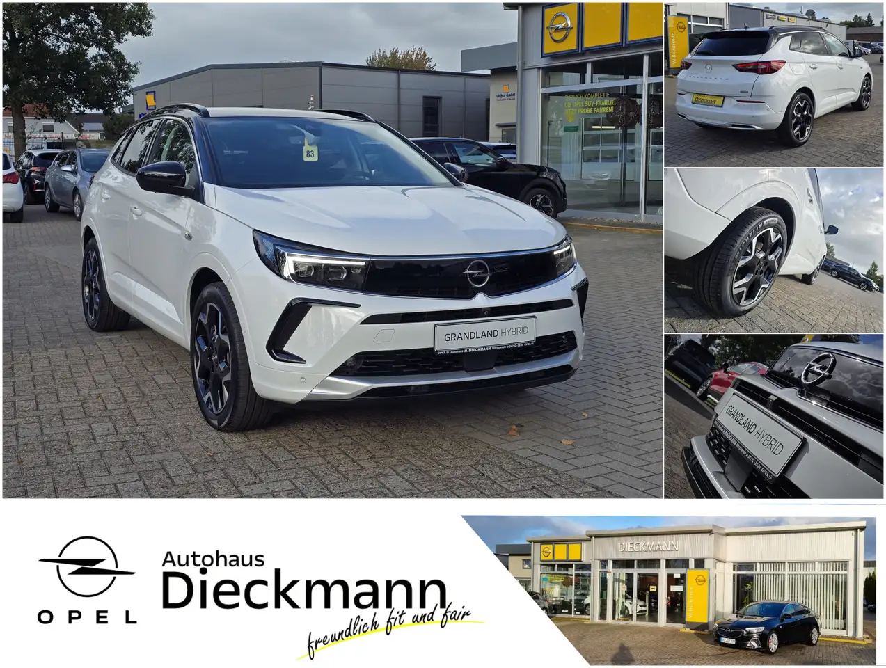 Opel Grandland Hybrid Ultimate SHZ AHK NAVI LED-Matrix 360° KAM — Worpswede