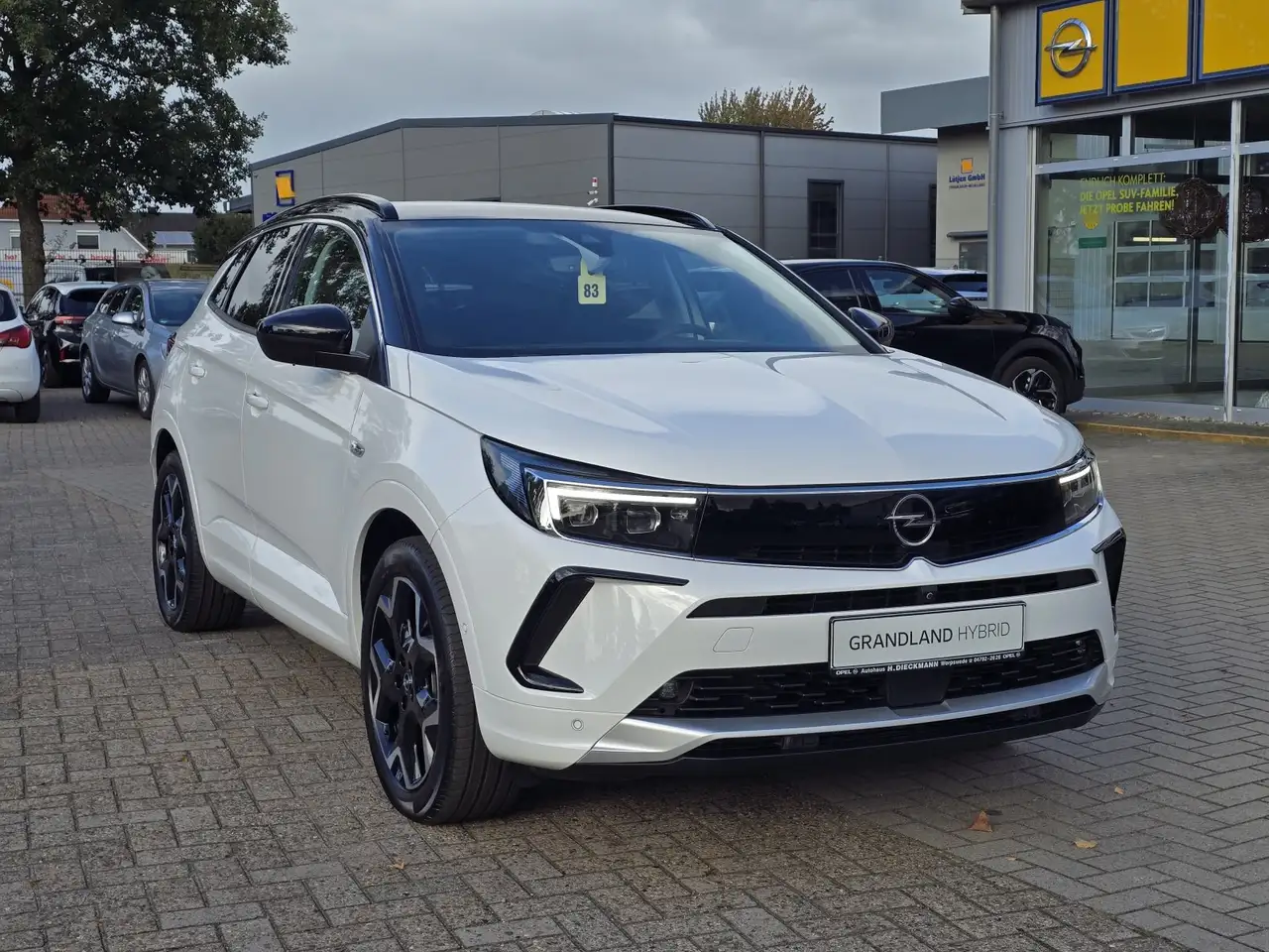 Opel Grandland Hybrid Ultimate SHZ AHK NAVI LED-Matrix 360° KAM — Vehicle gallery 2