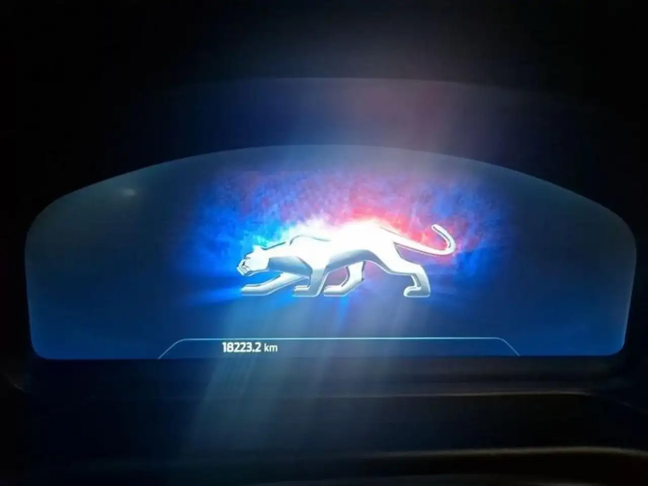 Ford Puma 1.0 EcoBoost MHEV ST-Line 125 — Galería del vehículo 14