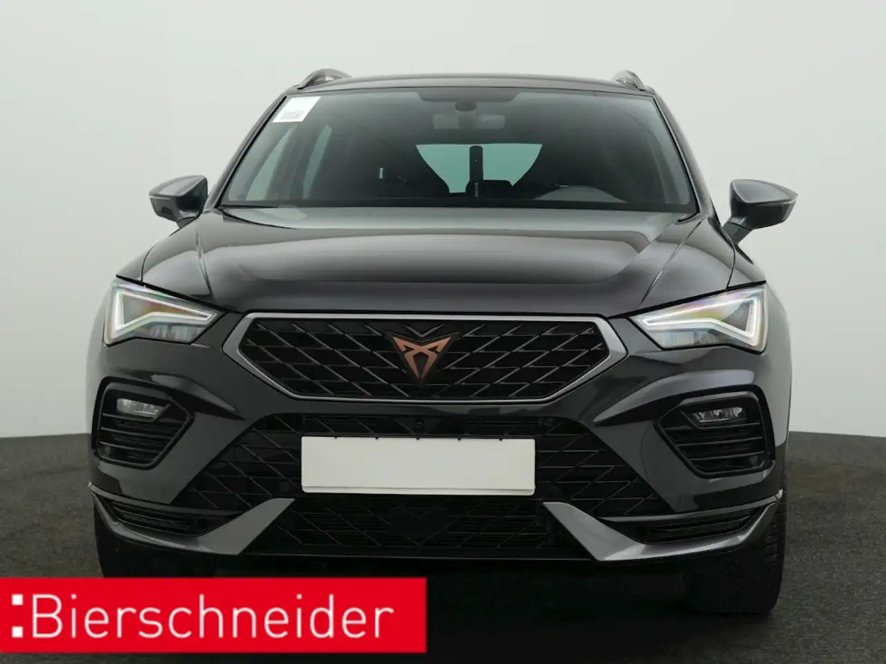CUPRA Ateca 1.5 TSI DSG 5-J-GAR AHK KAMERA NAVI LED — Vehicle gallery 10