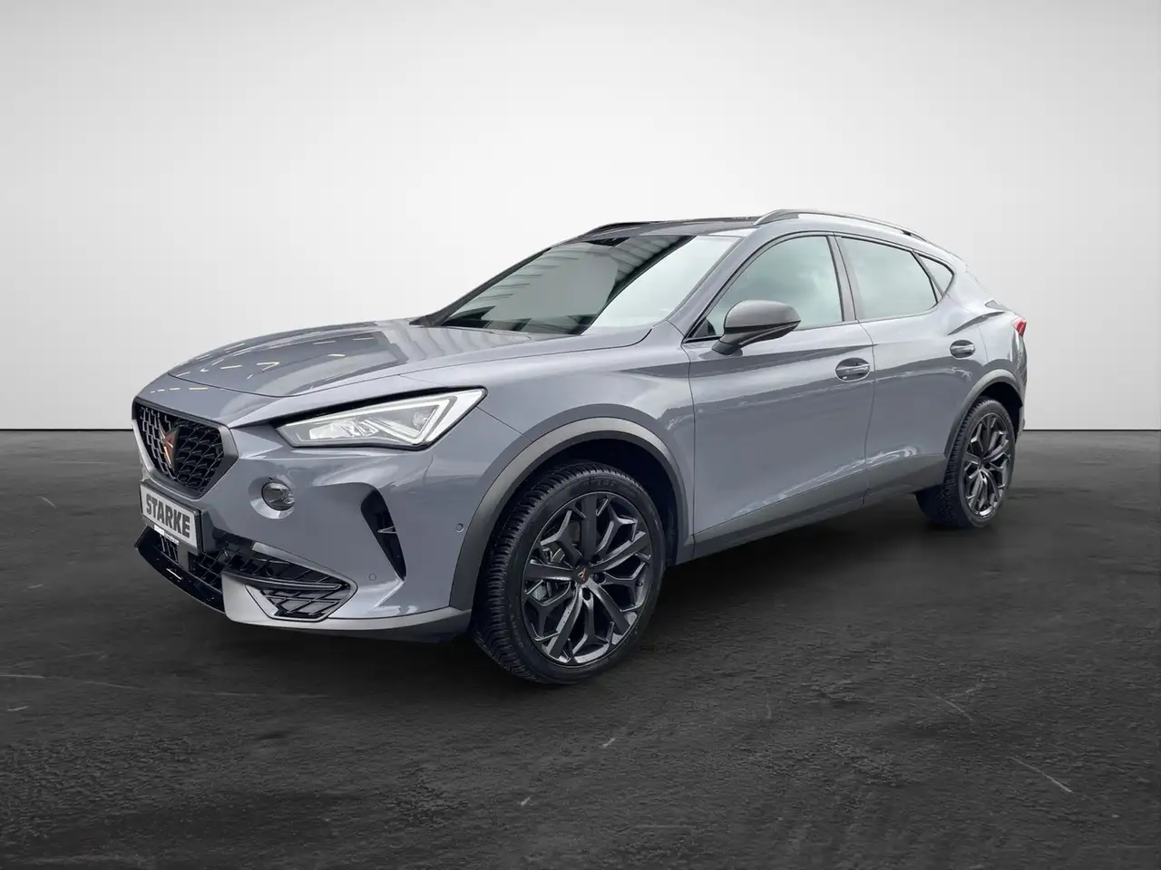 CUPRA Formentor 1.5 TSI DSG Tribe Edition — معرض صور السيارة 2