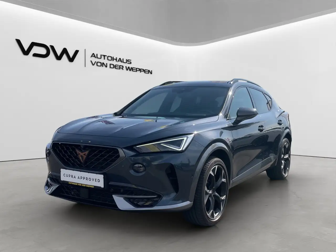 CUPRA Formentor TSI DSG VZ 5JGar AHK Leder Beats eHeck — Galería del vehículo 3