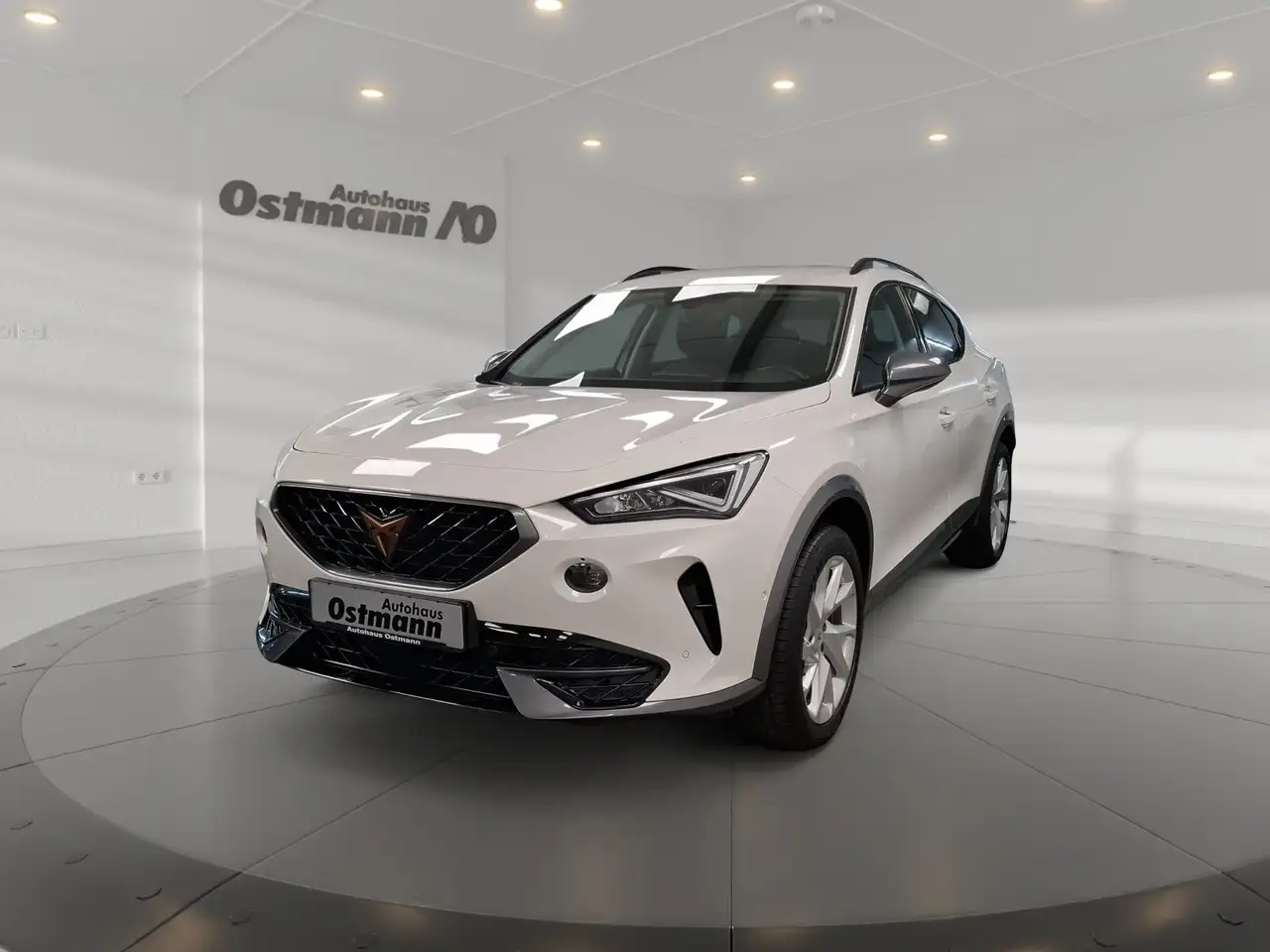 CUPRA Formentor 1.5 TSI ACC SHZ PDC Navi — Wolfhagen