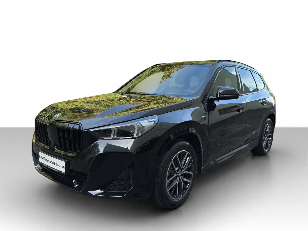 BMW X1 xDrive23i M Sport Navi.LED.ACC.360°.Pano.HuD — Vehicle gallery 2