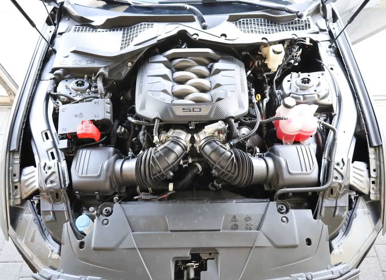 Ford Mustang 5.0 Ti-VCT V8 GT/SHZ/SBL/LHZ/TOTW/R19 — Galería del vehículo 20