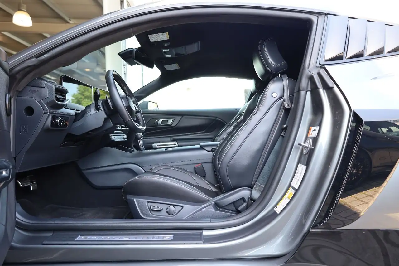 Ford Mustang 5.0 Ti-VCT V8 GT/SHZ/SBL/LHZ/TOTW/R19 — Galería del vehículo 9