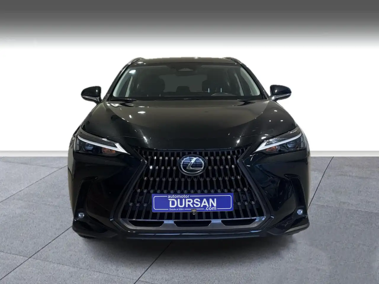 Lexus NX 350h Premium 2WD — Vehicle gallery 2