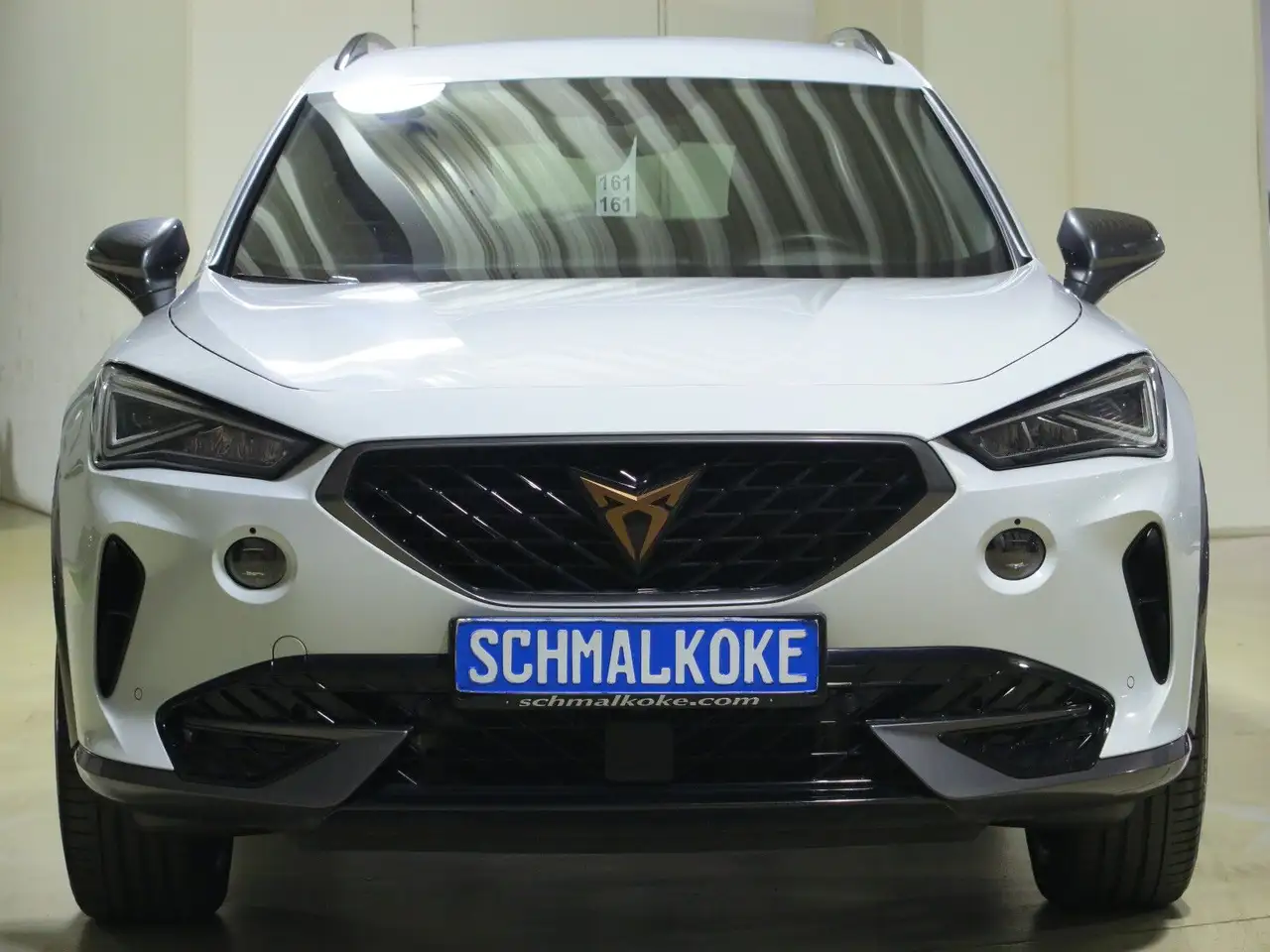 CUPRA Formentor 1.5 TSI DSG7 LM19 ACC ParkAssist RFK — Braunschweig