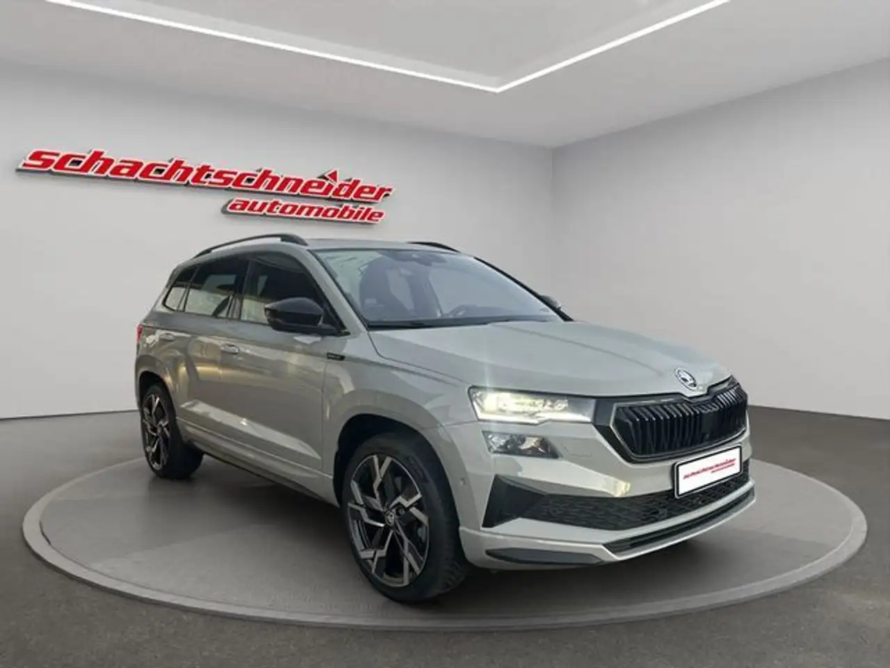Skoda Karoq 2.0 TSI 4x4 DSG Sportline+ACC+Panorama+ — Beelitz