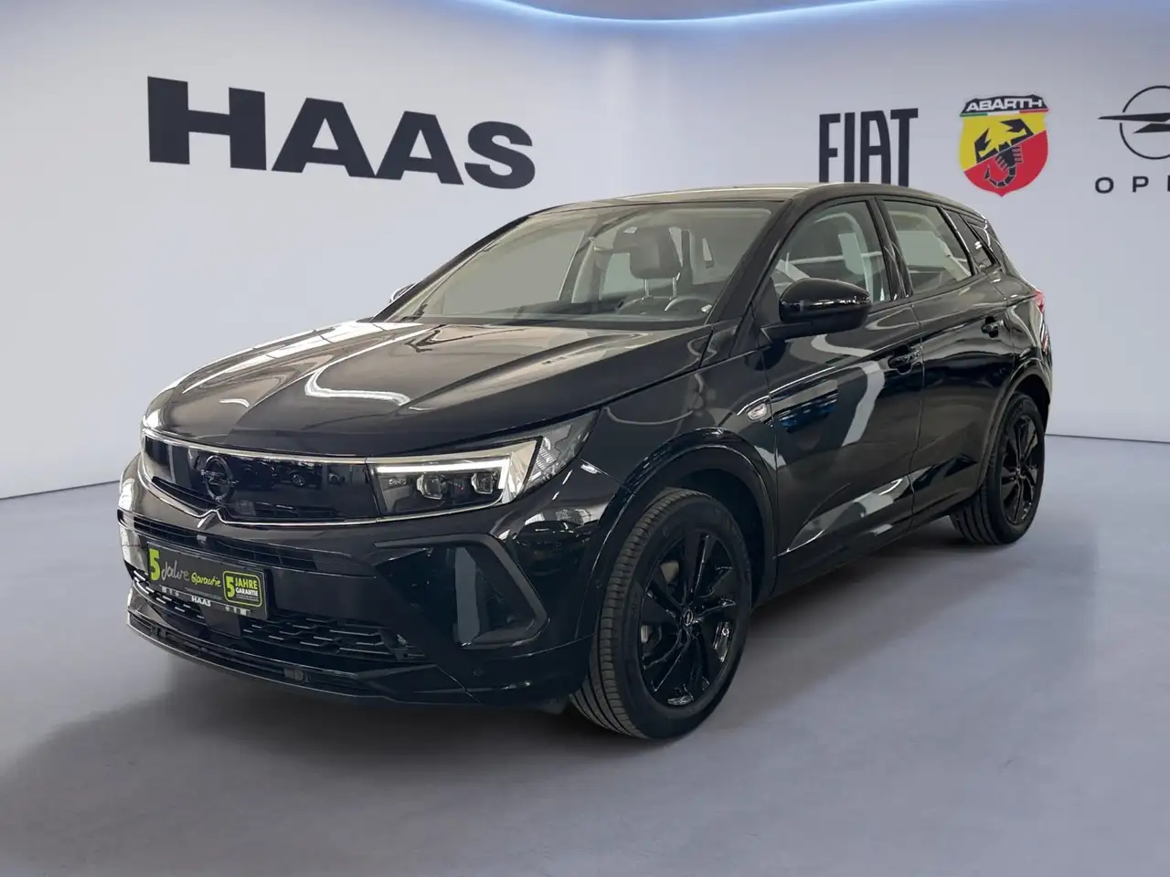 Opel Grandland 1.2 GS Line Alcantara, Sitzheizung — Vehicle gallery 2