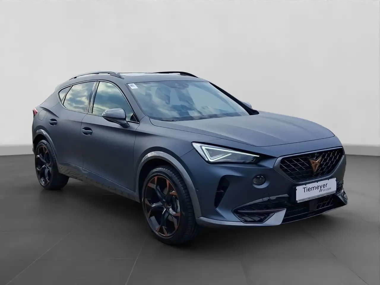 CUPRA Formentor 1.4 eHybrid MATT PANO KAMERA LM19 AHK — Vehicle gallery 16