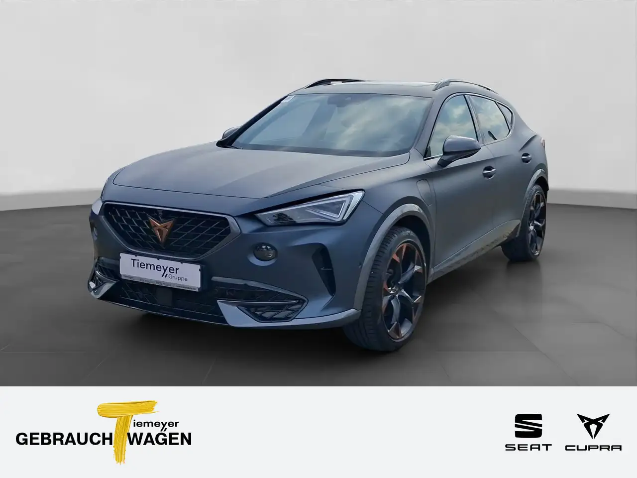 CUPRA Formentor 1.4 eHybrid MATT PANO KAMERA LM19 AHK — Recklinghausen