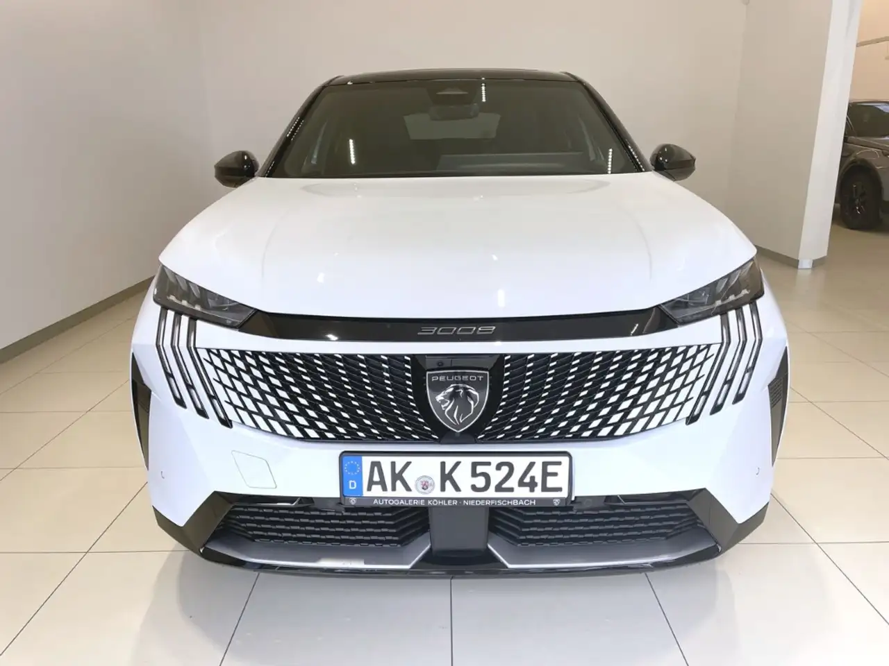 Peugeot 3008 GT Elektro 210 Navi Leder Massage Kamera — Galerie du véhicule 8