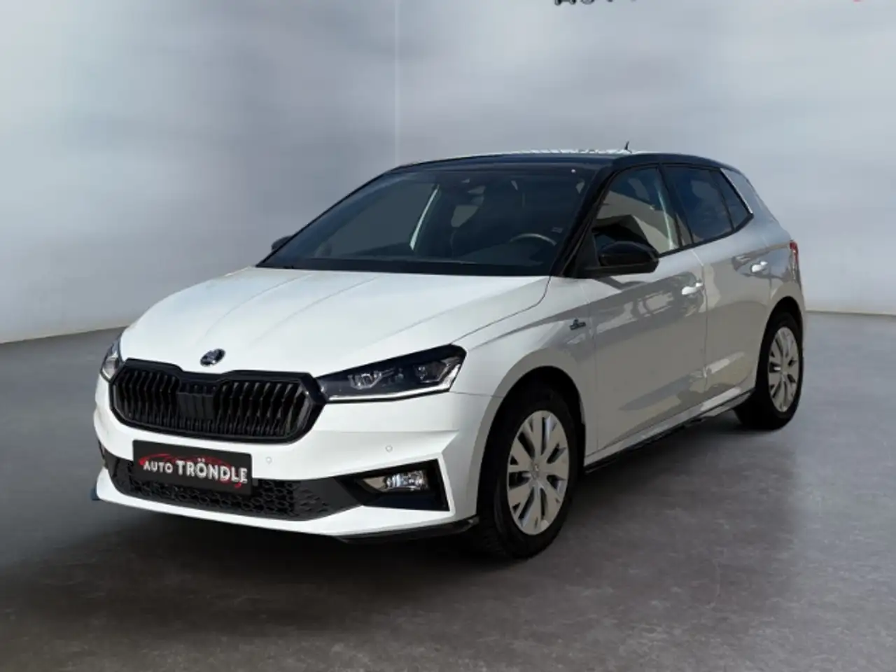 Skoda Fabia 1.0 TSI DSG Monte Carlo +ACC +Navi +Kamera — Grafenhausen