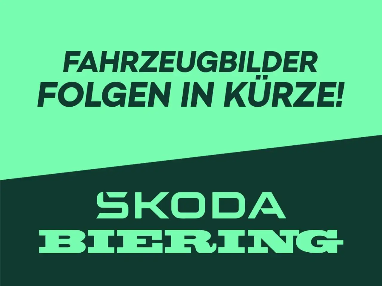 Skoda Scala SCALA 1.0 TSI Selection — Schwielowsee OT Geltow