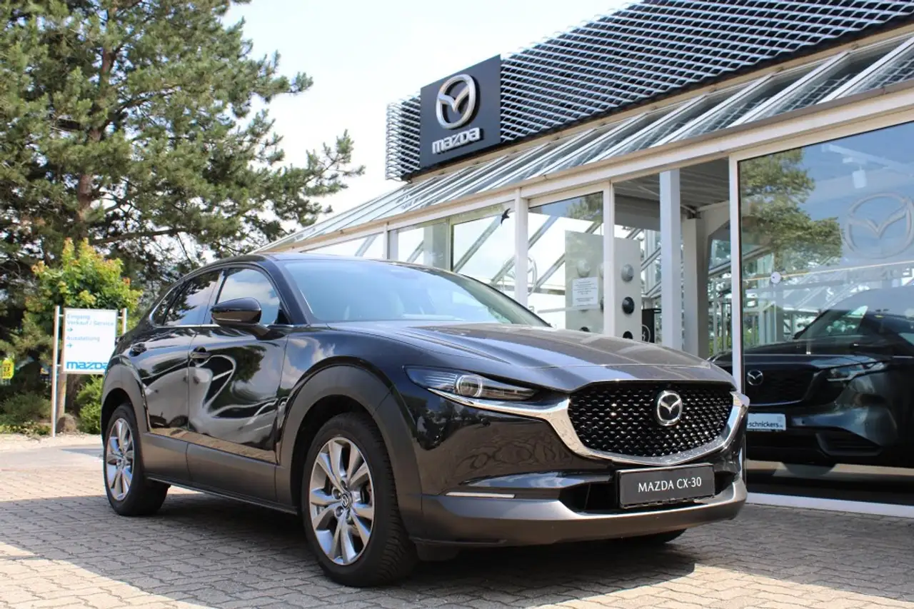 Mazda CX-30 e-SKYACTIV-G HYBRID+TAKUMI+ALLWETTERREIFEN — Galerie du véhicule 6