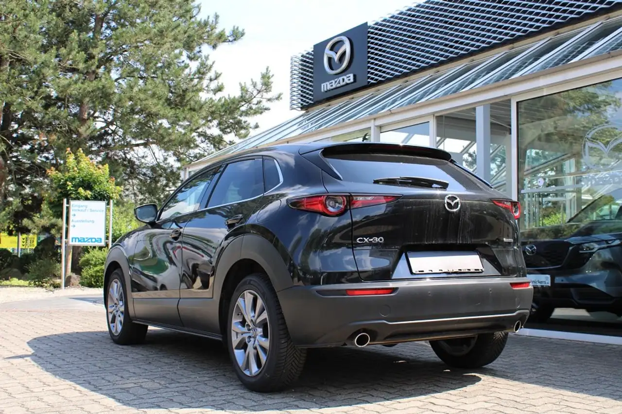 Mazda CX-30 e-SKYACTIV-G HYBRID+TAKUMI+ALLWETTERREIFEN — Galerie du véhicule 3