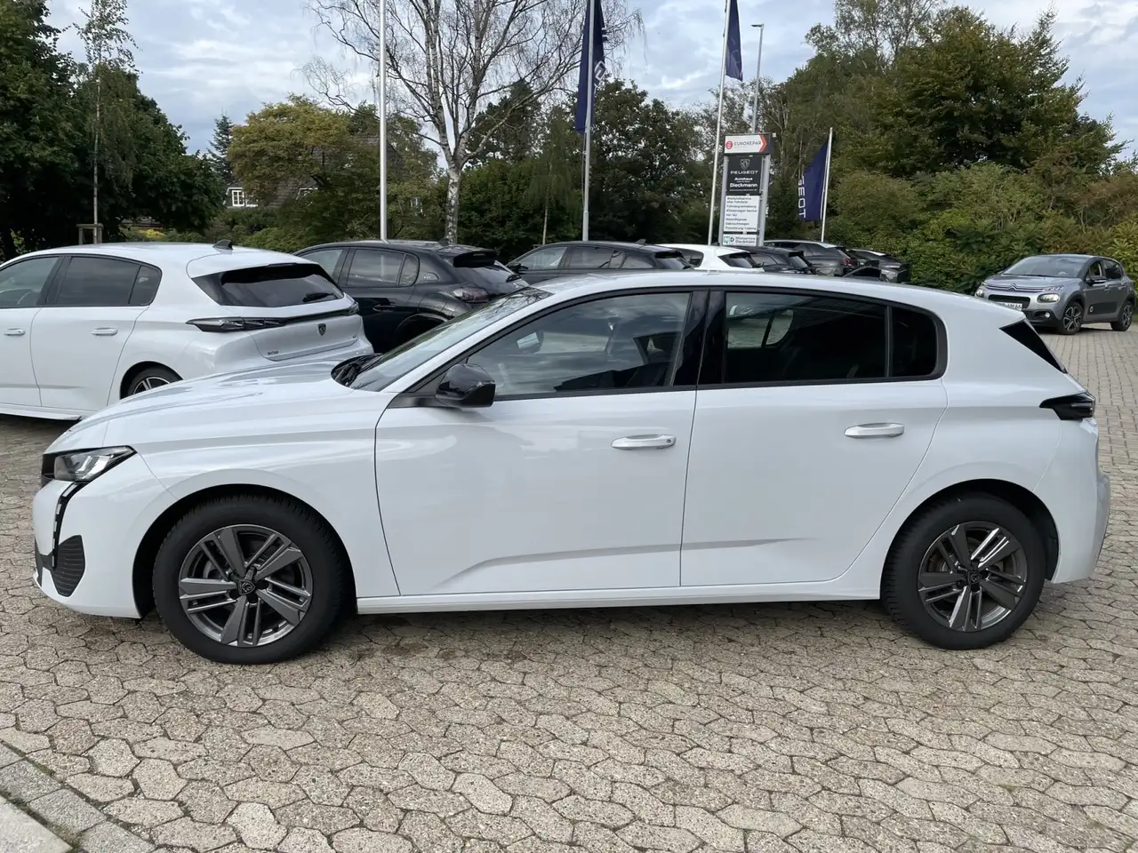 Peugeot 308 PureTech 130 Active Pack SHZ / ACC — معرض صور السيارة 3