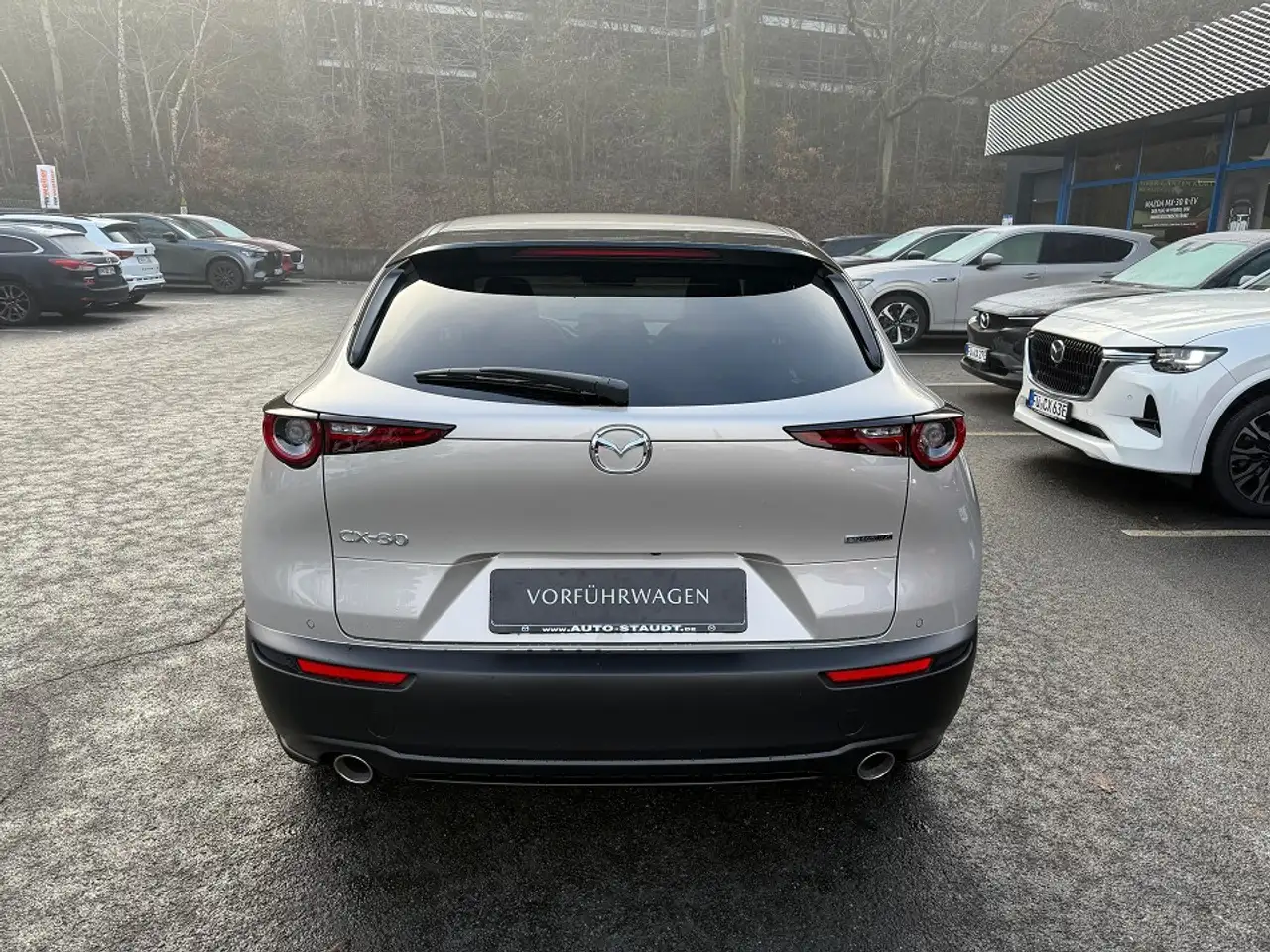 Mazda CX-30 2.0L e-SKYACTIV X 186ps CX-30 2.0L 186ps 6AT FWD E — Galería del vehículo 6