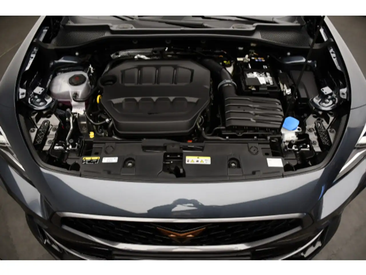 CUPRA Formentor 2.0 TSI DSG 4Drive Standhzg/ACC/Rückka — معرض صور السيارة 11