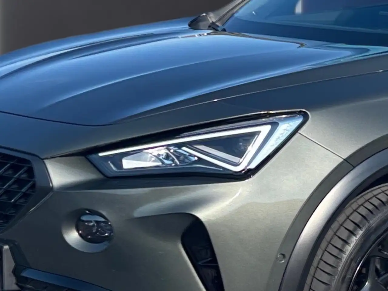 CUPRA Formentor VZ Tribe Edition Akra Pano 360° Beats — Galería del vehículo 7