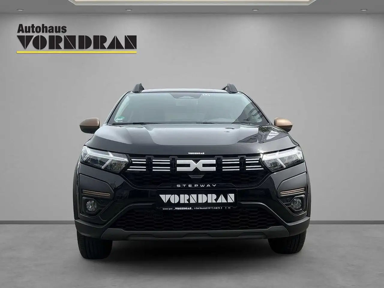 Dacia Sandero Stepway Extreme+ TCe 110 Navi SHZ PDCvo+hi+Kam — Vehicle gallery 9
