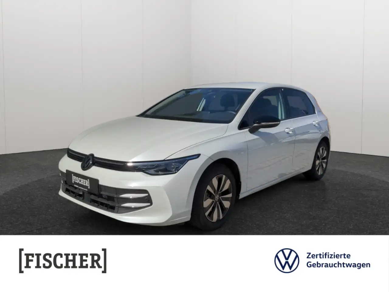 Volkswagen Golf VIII 1.5TSI Goal Matrix Navi Rear View SHZ — Jena