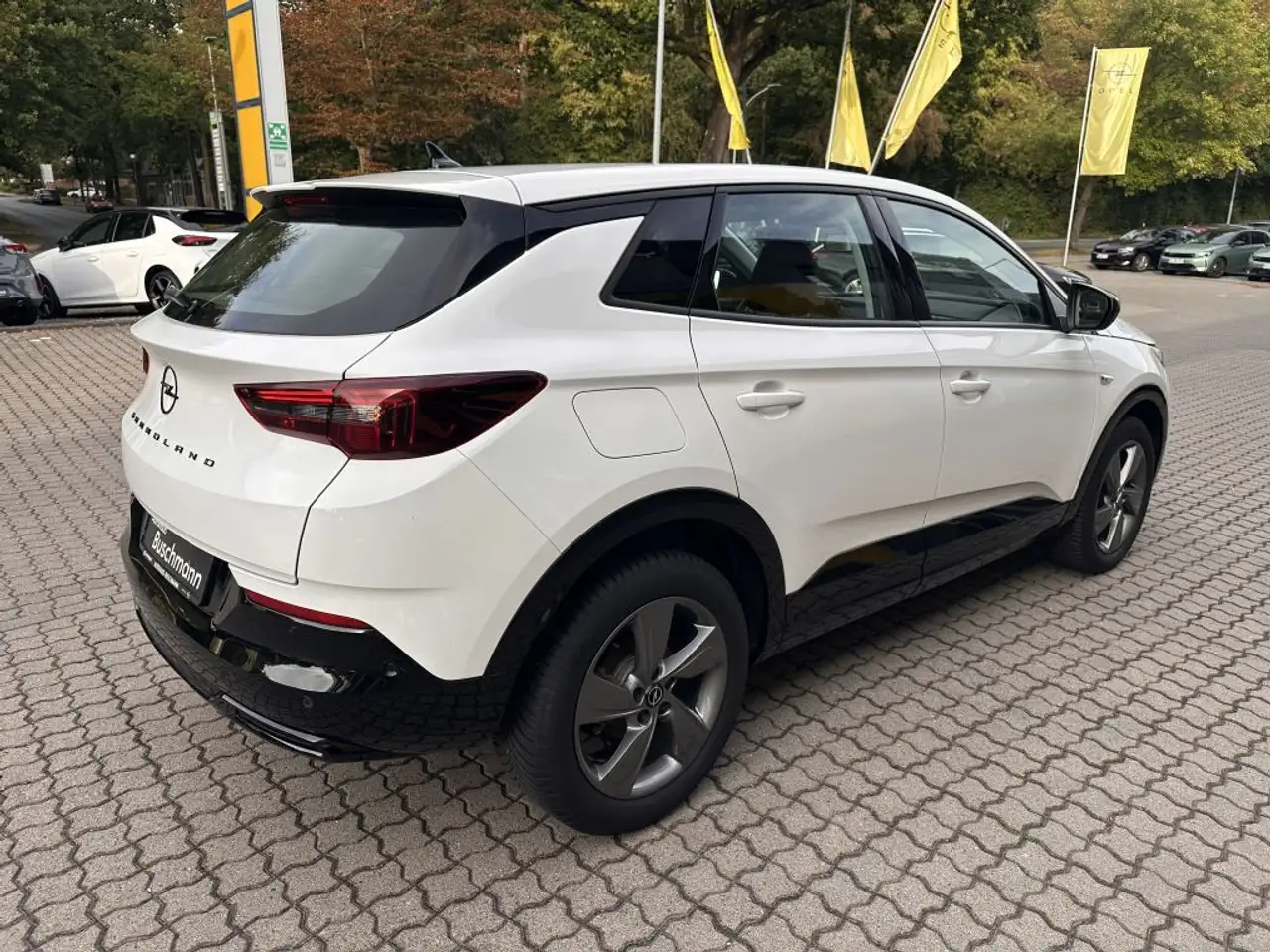 Opel Grandland X Grandland 1.2 DI Automatik GS +ALLWETTER+ — معرض صور السيارة 4