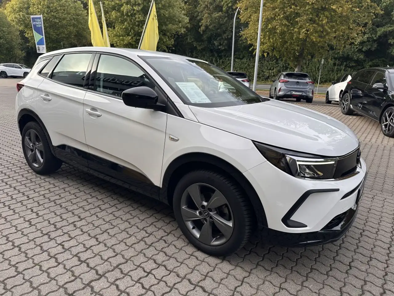 Opel Grandland X Grandland 1.2 DI Automatik GS +ALLWETTER+ — معرض صور السيارة 3
