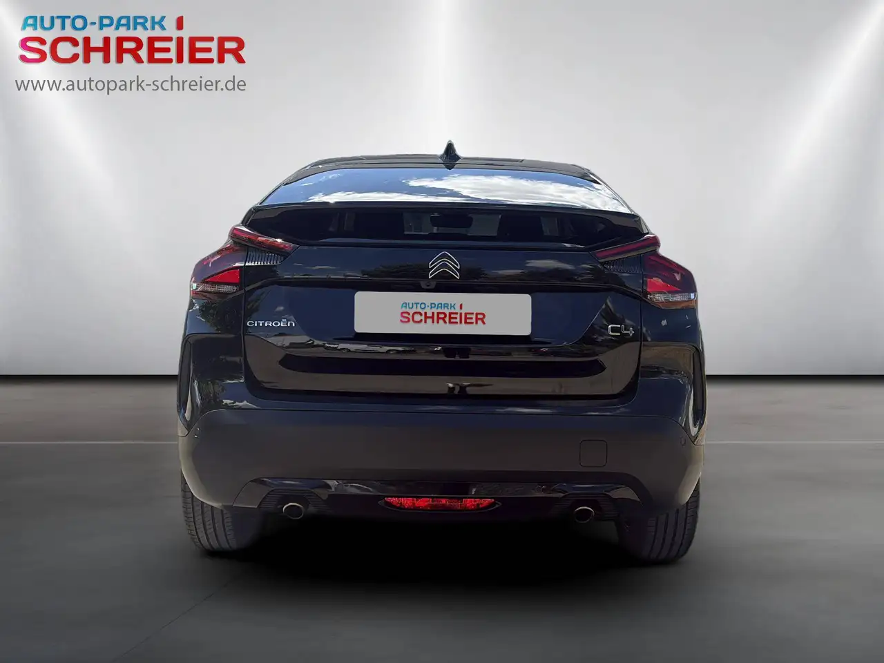 Citroen C4 Max — Galería del vehículo 6