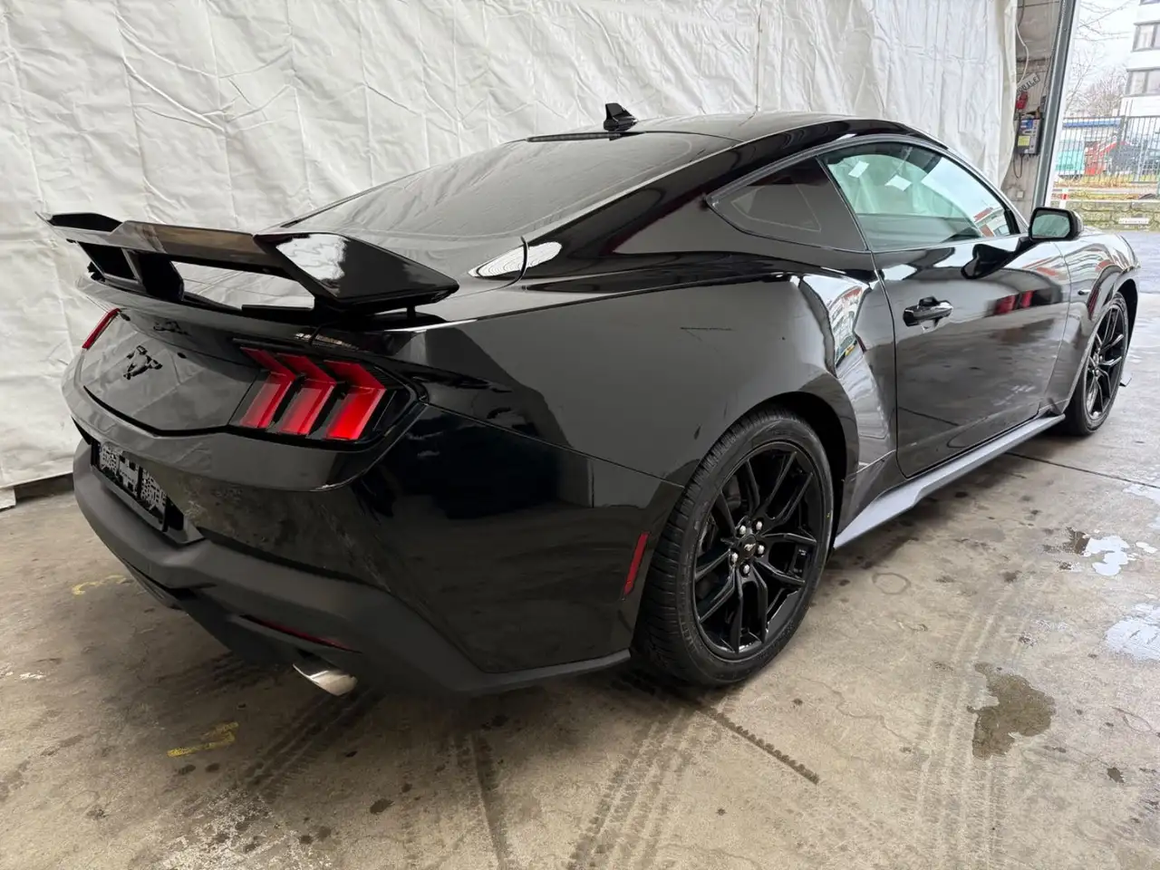 Ford Mustang 2.3 Leder CarPlay Led Digit Tacho Kamera — معرض صور السيارة 5