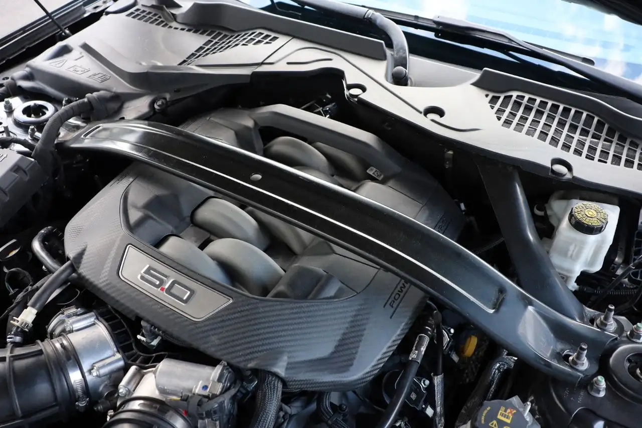 Ford Mustang 5.0 GT/RECARO/BREMBO/ACC/B&O/LHZ/TOTW/19 — Galería del vehículo 15